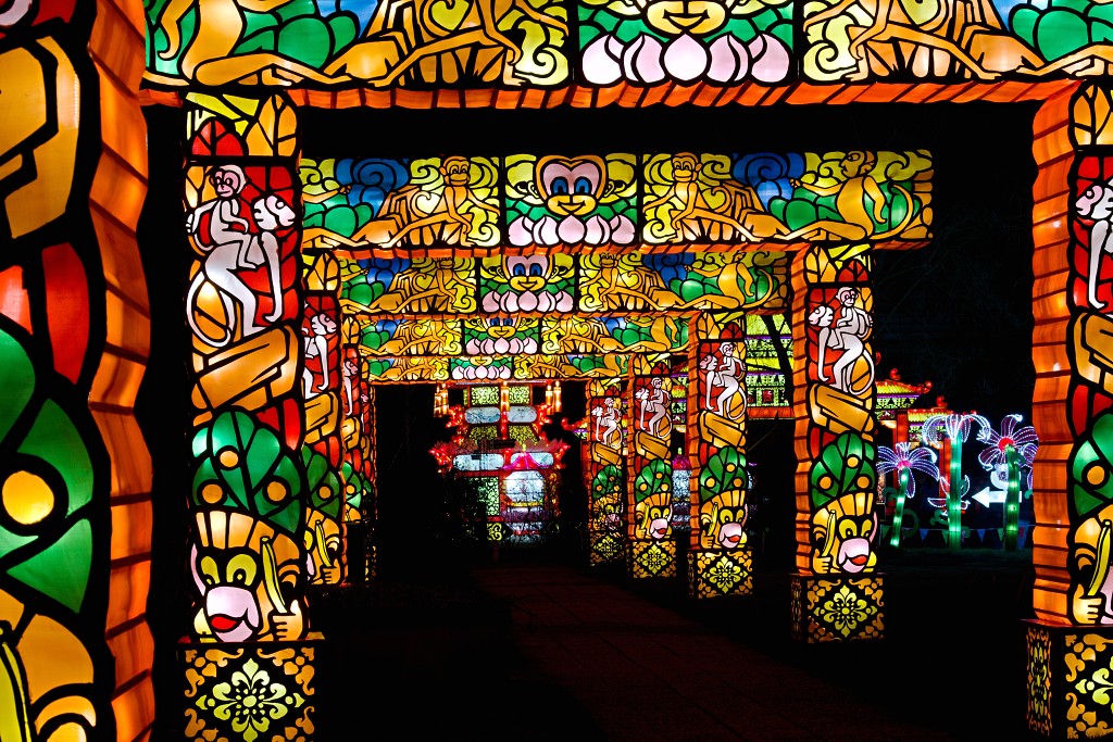 china light licht festival lichtshow show festiviteit glow evenement event chinees chinese verlichting draak dragon lichtfestival zoo